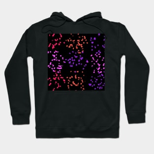 Crystals of Magical Geometric Shapes Hoodie